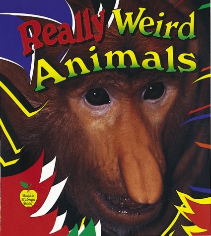 Really Weird Animals