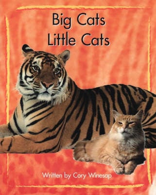 Springboard Lvl 11g: Big Cats, Little Cat
