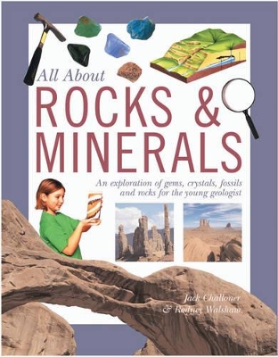 Rocks and Minerals