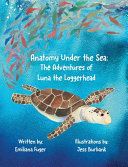 Anatomy Under the Sea: The Adventures of Luna the Loggerhead