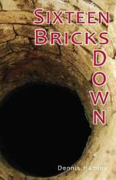 Sixteen Bricks Down