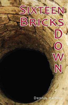 Sixteen Bricks Down