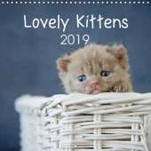 Lovely Kittens 2019 2019: 12 lovely kittens - 12 full-colour images
