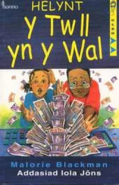 Helynt y Twll yn y Wal