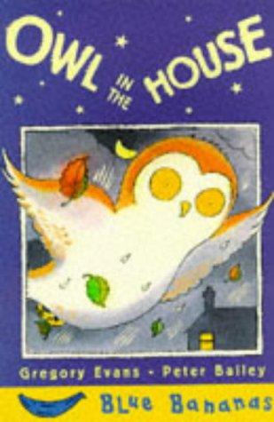 Owl in the House