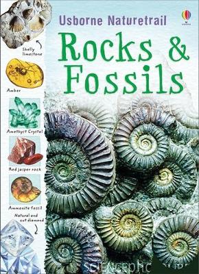 Rocks, Minerals and Fossils