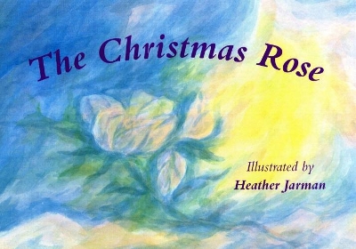 The Christmas Rose