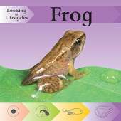 Looking at Lifecycles: Frog