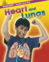 Heart and Lungs