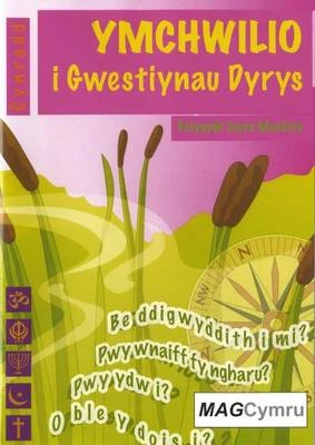 Cyfres Ymchwilio I Themau: Ymchwilio I Gwestiynau Dyrys