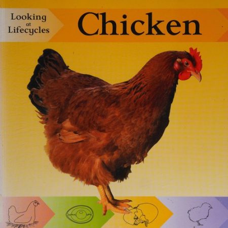 Looking at Lifecycles: Chicken