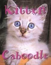 Kitten Caboodle