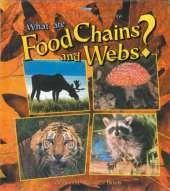 What are Food Chains and Webs?