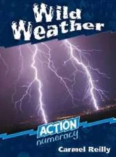 Action Numeracy: Wild weather