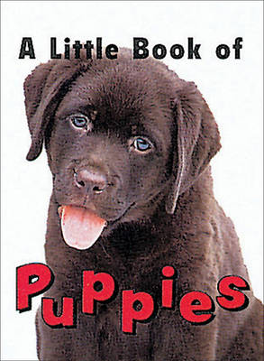 Little Book of Puppies