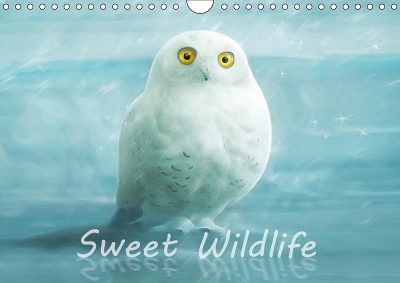 Sweet Wildlife / UK-Version / Birthday Calendar 2019: The funny and sweet animal calendar for old and young.