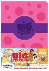 Big Picture Interactive Bible-HCSB
