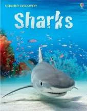 Discovery Sharks