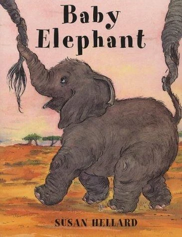 Baby Elephant