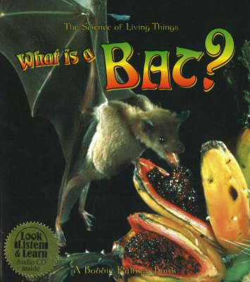 What is a Bat?