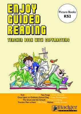 Enjoy Guided Reading Teacher Book & CD: Picture Book at KS2
