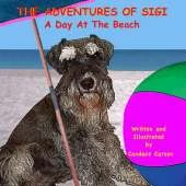A Day at the Beach