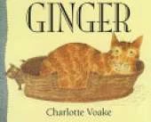 DLM Early Childhood Express, Ginger English 4-Pack