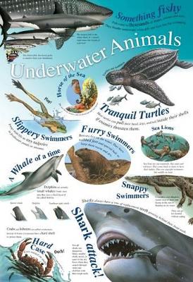 Underwater Animals