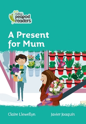A Gift for Mum: Level 3
