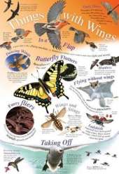 Things with Wings