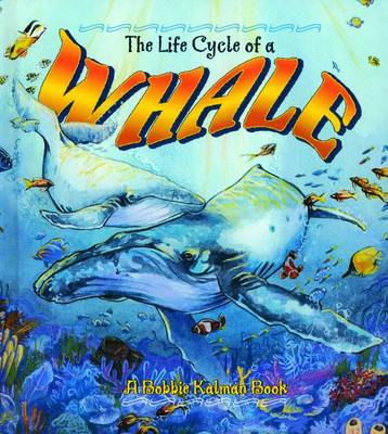 The Life Cycle of a Whale