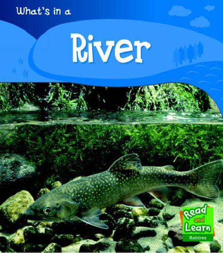 What is a River?