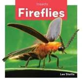 Insects: Fireflies