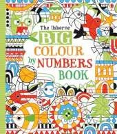 Big Colour By Numbers Book