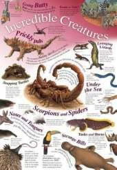 Incredible Creatures