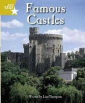Clinker Castle Gold Level Non-fiction: Famous Castles Single