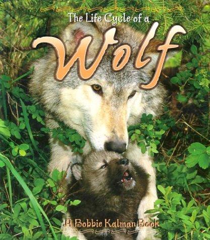 The Life Cycle of a Wolf
