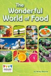 The Wonderful World of Food