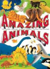 Amazing Animals