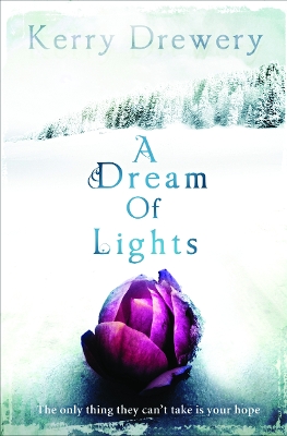A Dream of Lights
