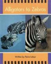 Springboard Lvl 13f: Alligators to Zebras