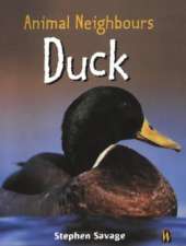 British Animals: Duck