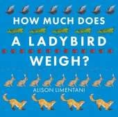 How Much Does a Ladybird Weigh?