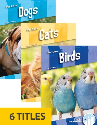 Pet Care (Set of 6)