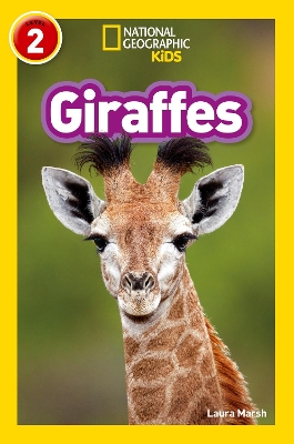 Giraffes: Level 2
