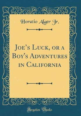 Joes Luck, or a Boy's Adventures in California (Classic Reprint)