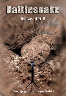 Rattlesnake