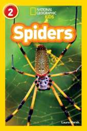 Spiders: Level 2