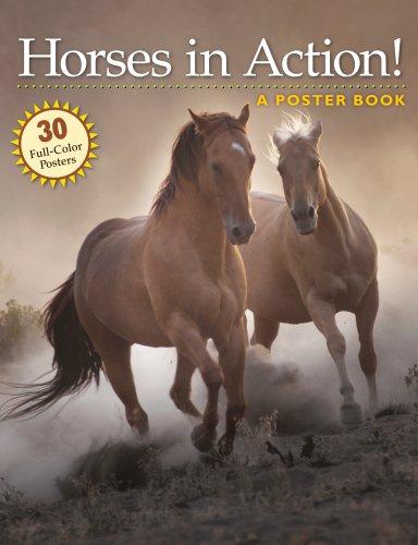 Horses in Action!