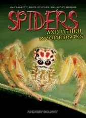 Spiders and other invertebrates